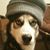 Jason Hetzel's profile image