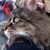 Hilary Willis's profile image