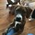 Pam Sutter-Kanter's profile image