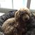 Lisa Xander's profile image