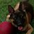 Lantz Brackett's profile image