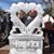 Savannah Dumont's profile image
