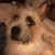 Lois Feith's profile image