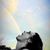 Tamra Novelle's profile image