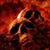 Chris Standley's profile image