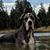 Michelle Ellis's profile image
