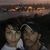 LM Oliva's profile image