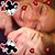 Melissa Larmark's profile image