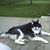 Grace Mahoney Summers's profile image
