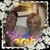 Jimmie Rosenkranz's profile image