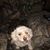 Amy Stillwell Gill's profile image