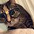 Laura Miller's profile image
