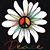 Terri Bale Fox's profile image