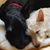 Jenny Kotvis's profile image