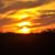 Donna Eden Shahan's profile image