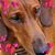 Tracy Rolls's profile image