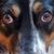 Michelle White Lassen's profile image