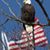 Dave White's profile image