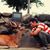 Ginger Keung's profile image