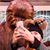 Ashley Wilson's profile image
