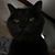 Gayle Greathouse's profile image