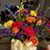 Diane Dornbrock's profile image