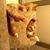 Stephen Thurmond's profile image