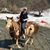 Jolene Kostuch's profile image