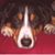 Ed Sapeta's profile image