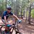 Dave Giefer's profile image