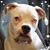 Paula Letourneau's profile image