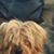 Dane Julian's profile image