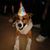 Kathy Starcher's profile image