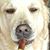 Michael Rempala's profile image