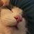 Amy Borrell Berner's profile image