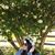Anna Mchedlidze's profile image