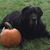 Lori Lord-Brant's profile image