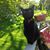 Linda Dingman-Dillard's profile image