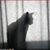 Paula A. Hoppe's profile image