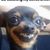 Jenn Lindstrom's profile image