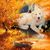Karen Friedman Makowski's profile image