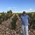 James Marinello's profile image