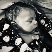 Larry Cirillo's profile image