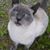 Esther Smathers's profile image