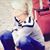 Barbara Slayton Shelton's profile image
