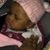 Jeannette Brown's profile image