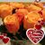 Patricia Handlir-Hromek's profile image