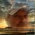 Donald Heaton's profile image