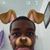 Shawn Smith's profile image