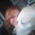 Kathy Lauman Tewksbury's profile image